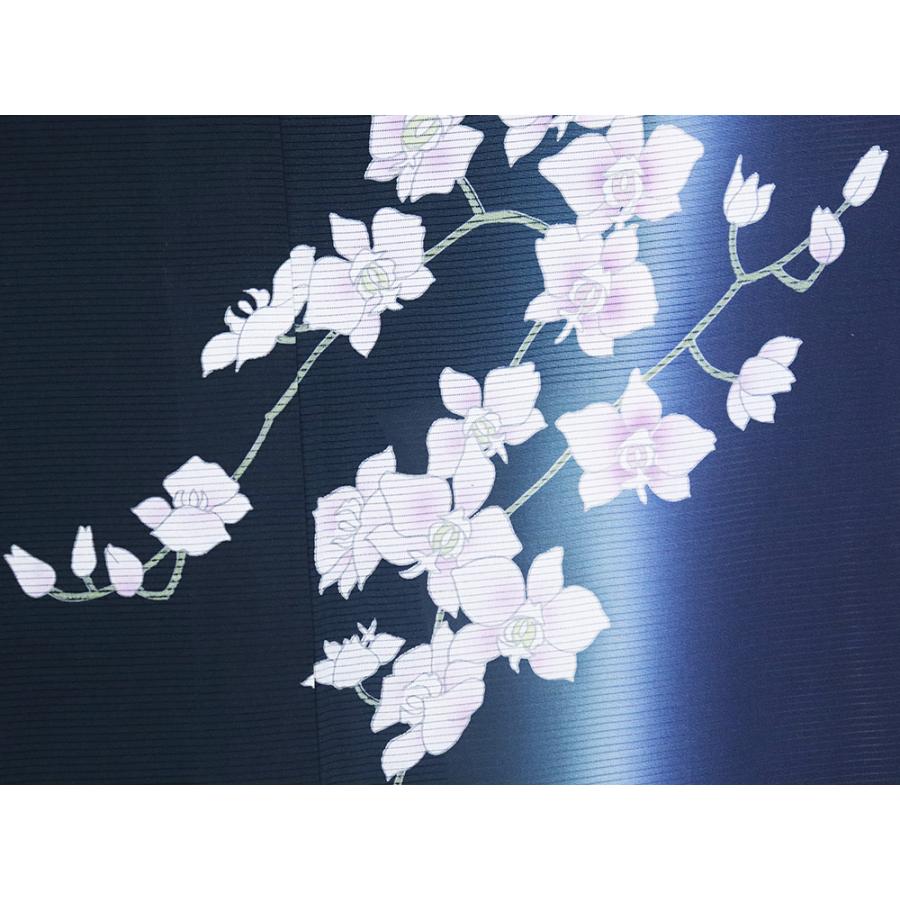絽 訪問着 正絹 黒 紺 暈し 胡蝶蘭 トールサイズ ki32279 新品 夏着物 盛夏 ほうもんぎ レディース シルク ギフト フォーマル 送料無料の画像