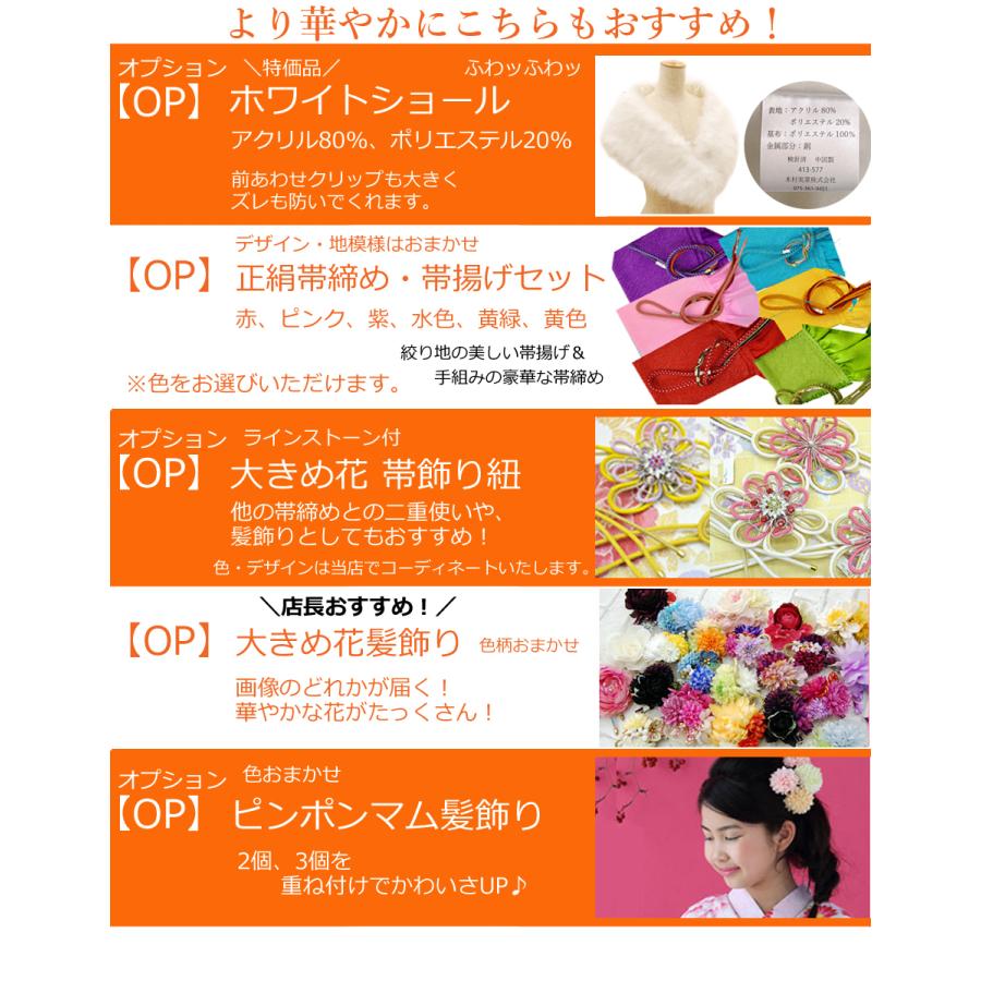 Xmiss ブランド 振袖4点セット (全6柄) 振袖 袋帯 長襦袢 刺繍 Xmiss ブランド 振袖4点セット (全6柄) 振袖 袋帯 長襦袢 刺繍