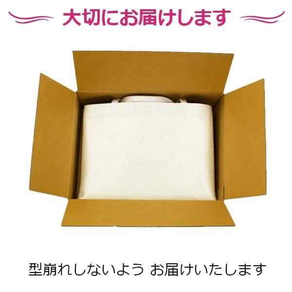 トートバッグ 和装 大きめ a4 軽い 撥水 フォーマル 実用的 和洋兼用 ファスナ-付 サブバッグ カバン 衿秀 新品  母の日ギフトの画像