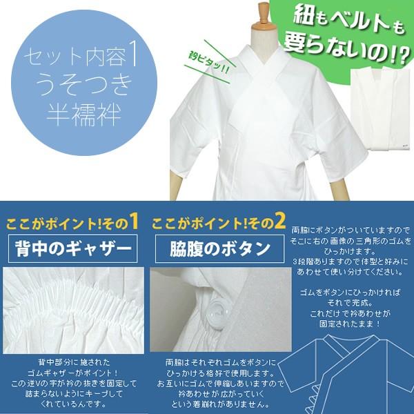 襦袢 うそつき 半襦袢 半襟付き 3点セット うそつき半襦袢 裾よけ 替え袖 初心者オススメ 着物 着付け小物 和服 小紋（メール便不可）_2
