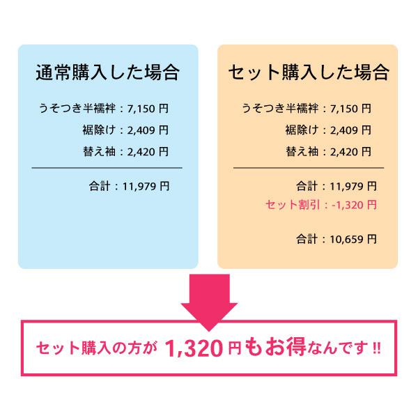 襦袢 うそつき 半襦袢 半襟付き 3点セット うそつき半襦袢 裾よけ 替え袖 初心者オススメ 着物 着付け小物 和服 小紋（メール便不可）_5