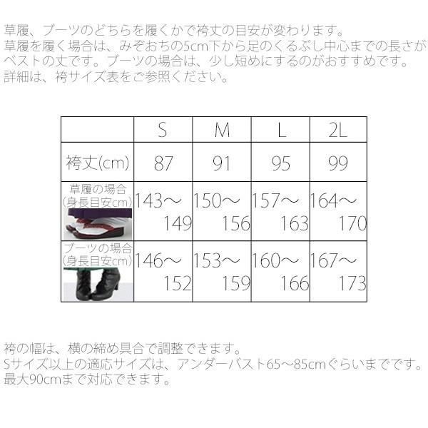 卒業式 袴セット 大学生 小学生 レトロ「紫×白 矢羽」 洗える 着物 袴 