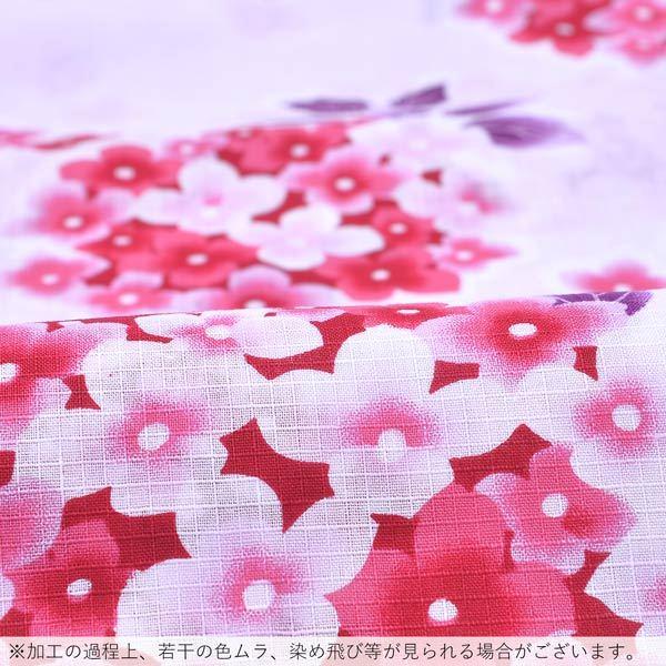 DITA ディータ 浴衣 2点セット 月夜の乱菊しらべ 黒 白 ピンク 2025 浴衣5