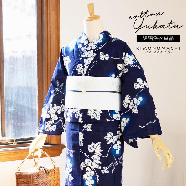 蝶標本 Caraxes フタオ 東南アジア①研究産地別コレクション 大型