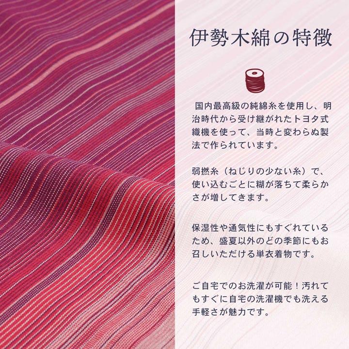伊勢木綿 洗える着物 反物 レディース「滝縞 赤紫×ピンク」未仕立て