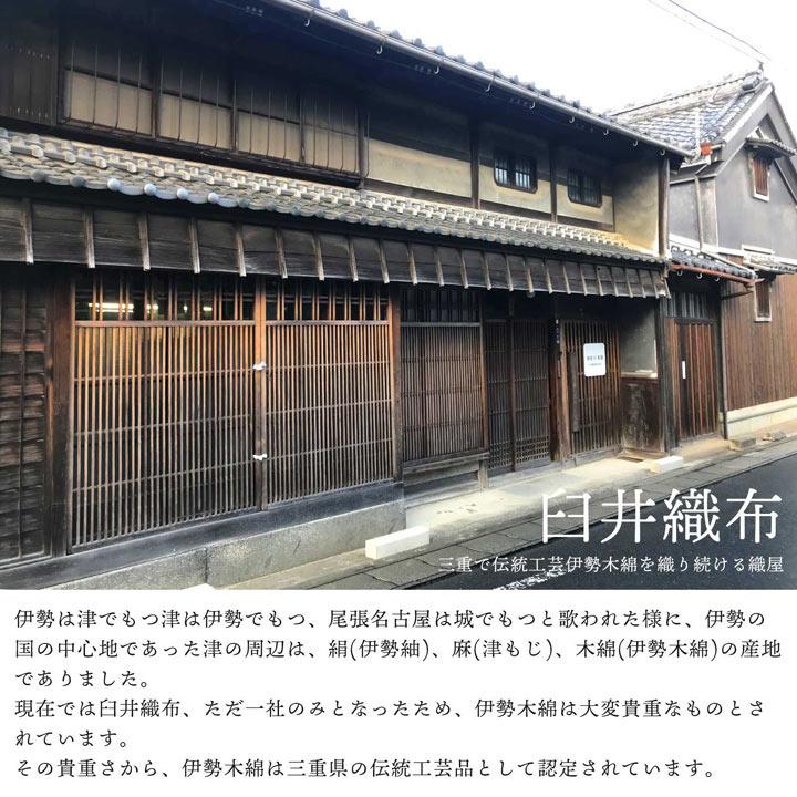 伊勢木綿 洗える着物 単品「格子 青緑×赤紫」お仕立て上がり 木綿きもの 日本製 三重県 伝統工芸品 単衣 綿 カジュアル チェック 小紋 (メール便不可)の画像