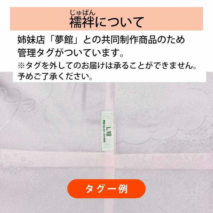 袴 セット 卒業式 女性 4点セット「二尺袖：ブラウン ボタニカル＋袴：オフホワイト 葡萄＋袴下帯：ベージュグレー 七宝＋襦袢」S/M/L/LL (メール便不可)の画像
