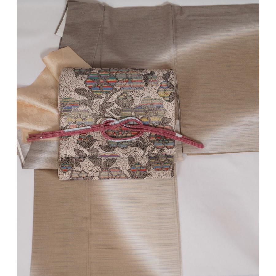 着物セット 未使用品 本塩沢 洒落訪問着と洒落袋帯、帯揚げ、帯締め 4 