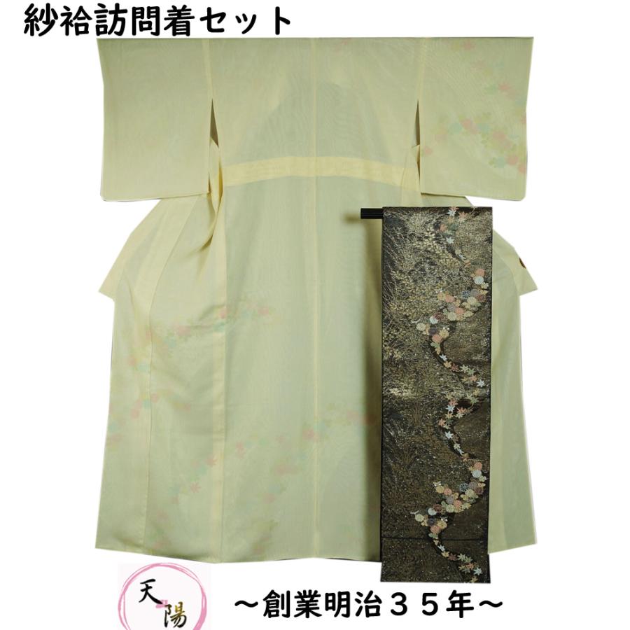 夏着物 セット 紗袷 訪問着・袋帯 2点セット 流水に秋草模様 無双 