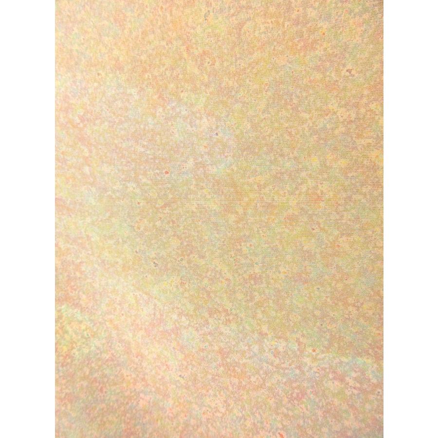 難なし 正絹 霞取り 付下げ 訪問着 ピンク ピンクベージュ コーラル リサイクル 柄入り八掛 結婚式 フォーマル 入学式 卒業式 お茶会 観劇 |  | 05