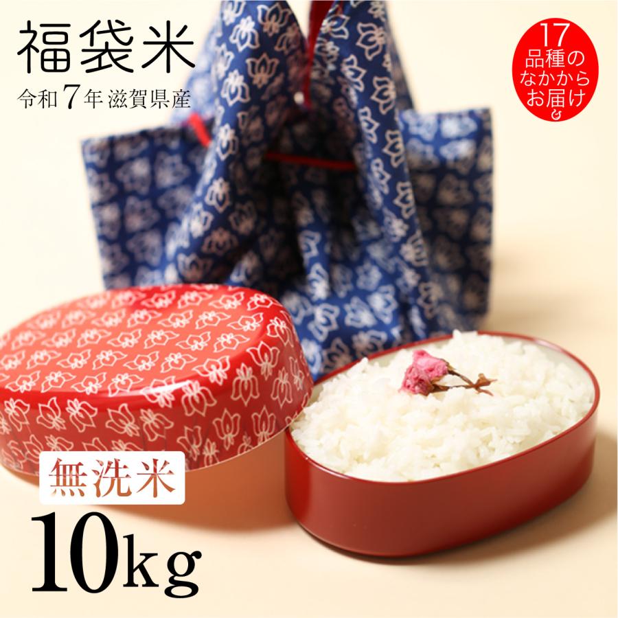 コシヒカリ 新米 無洗米 福袋米 10kg 5kg×2袋 滋賀県産 令和7年