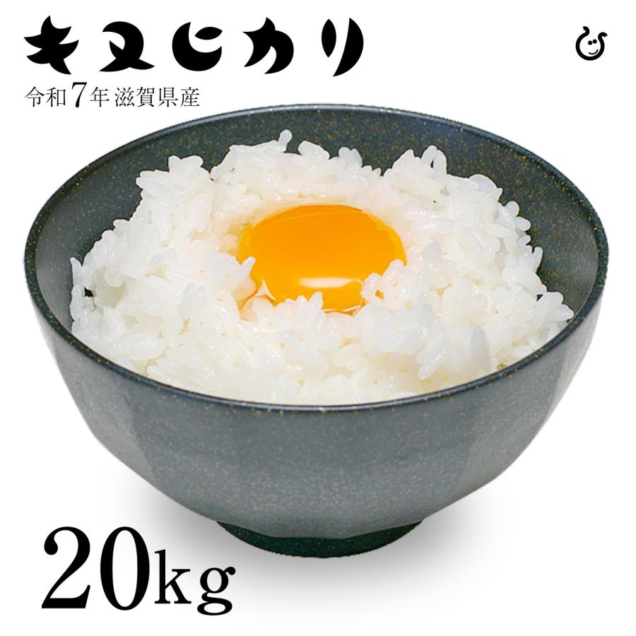 キヌヒカリ 新米 白米 玄米 20kg 滋賀県産 令和7年 100 : 近江の