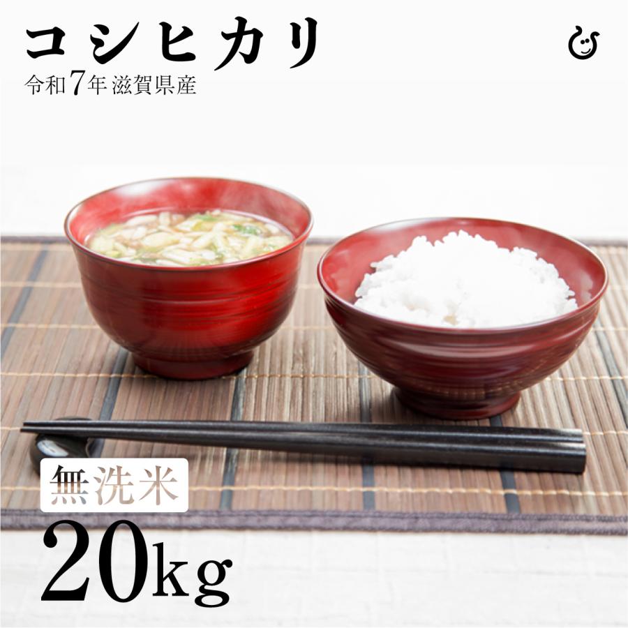 令和6年度新米】滋賀県産コシヒカリ20kg (精米、送料無料)