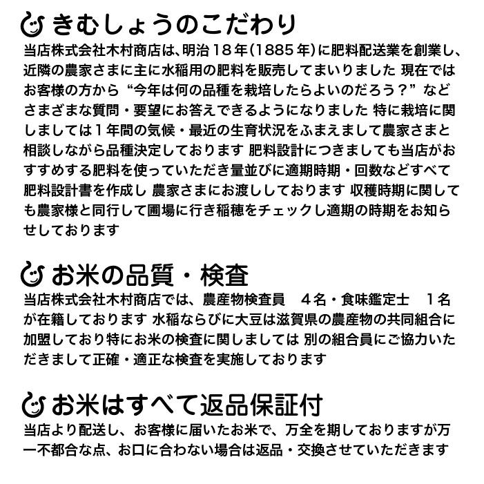 コシヒカリ 新米無洗米 10kg 5kg×2袋 滋賀県産 令和7年 80
