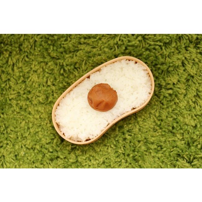 マート 無洗米 ミルキークイーン 20kg 環境こだわり米 お米 令和4年