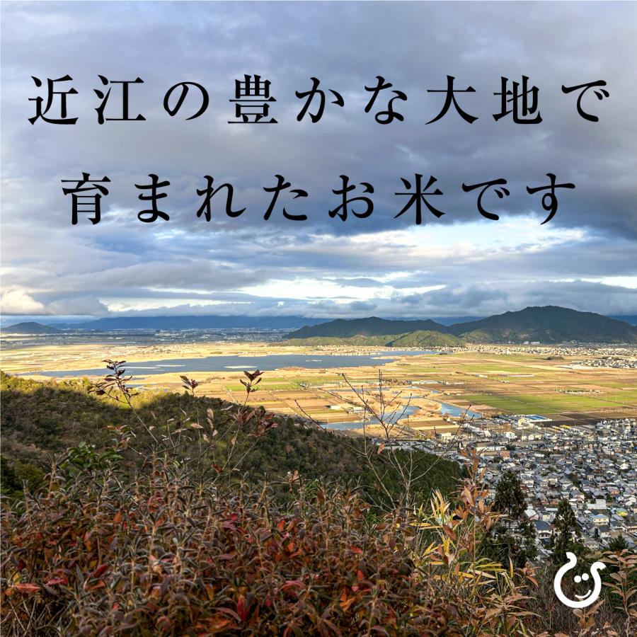【特A評価獲得】白米 玄米 みずかがみ 20kg 滋賀県産 令和7年 100の画像