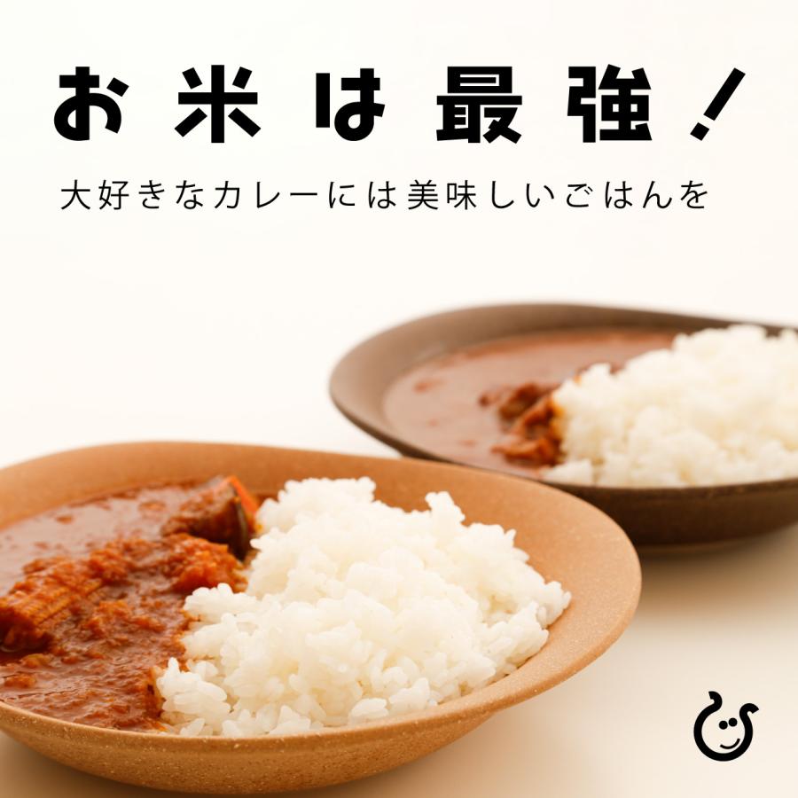 新米 無洗米 みずかがみ 2kg 滋賀県産 令和7年 60 : 近江の国から木村