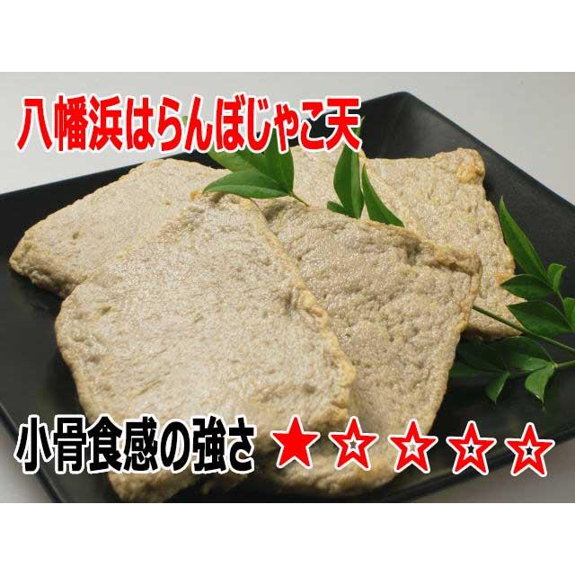 本場（6種類） じゃこ天18枚セット : 四国松山・市駅前 木村蒲鉾店