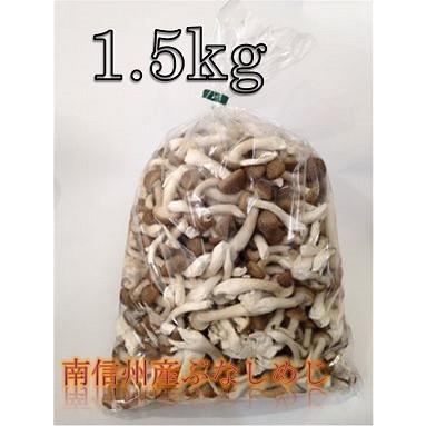 南信州産 カットぶなしめじ 1 5kg 1 木村きのこ園 Yahoo ショップ 通販 Yahoo ショッピング