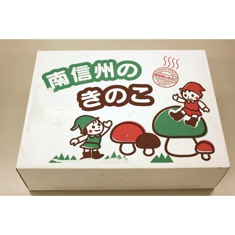 南信州産ぶなしめじ　一株（約180g以上）　8個入り |  | 01