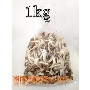 南信州産　カットぶなしめじ　1kg | 