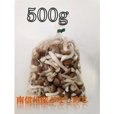 南信州産 カットぶなしめじ 500g 3 木村きのこ園 Yahoo ショップ 通販 Yahoo ショッピング
