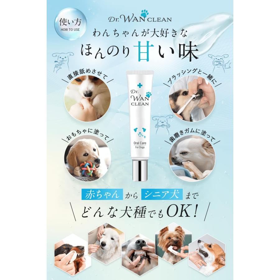 犬 歯磨き粉 【獣医師共同開発】 歯磨きジェル 口臭 歯石 歯垢 取り Dr