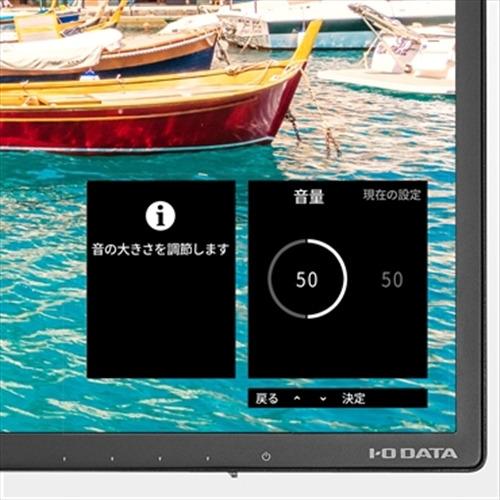 アイ・オー・データ機器 LCD-DF321XDB-A 液晶ディスプレイ DisplayPort搭載 広視野角ADSパネル採用 31.5型 ワイド ブルーライトカット｜kimuraya-select｜14