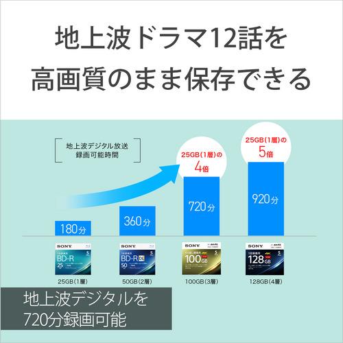 ソニー 20BNE3VEPS2 ビデオ用BD-RE（繰り返し録画)100GB 20枚パック 
