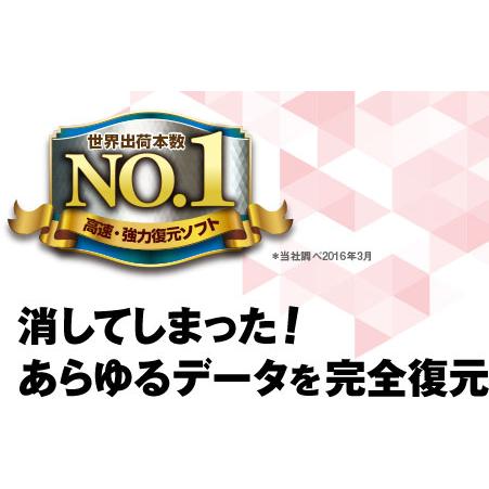 ジャングル 完全データ復元PRO15 JP004457_1