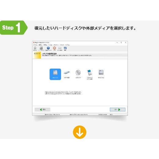 ジャングル 完全データ復元PRO15 JP004457_2