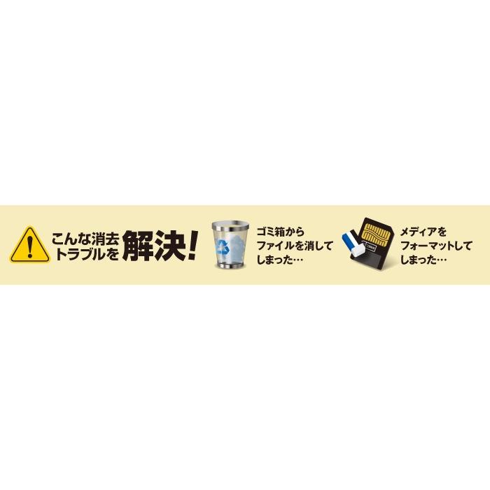 ジャングル 復活!デジカメデータ2 JP004461 |  | 01