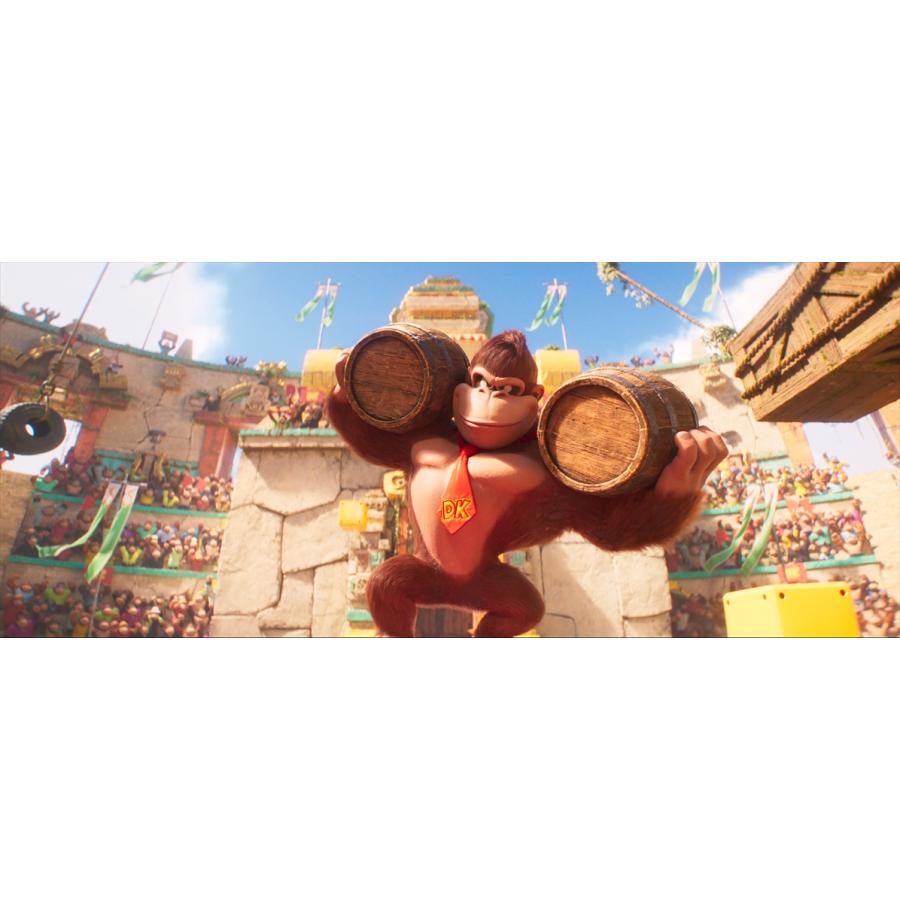 BLU-R】ザ・スーパーマリオブラザーズ・ムービー(オリジナルパスケース