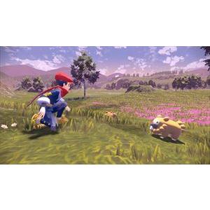 Pokemon LEGENDS アルセウス Nintendo Switch HAC-P-AW7KA