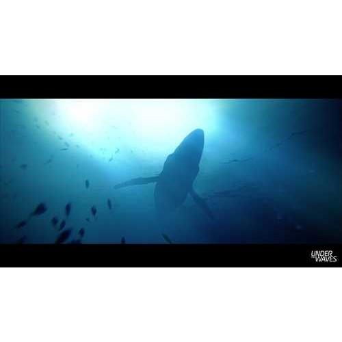 Under The Waves（アンダー・ザ・ウェーブス） PS4　PLJM-17317 |  | 01