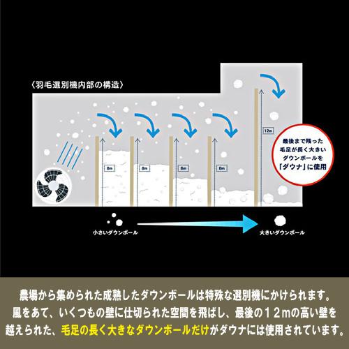 クイーン] 大塚家具 羽毛布団「ダウナ 肌掛けタイプ」ポーランド産