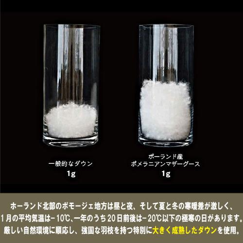 シングル] 大塚家具 羽毛布団「ダウナ 肌掛けタイプ」ポーランド産