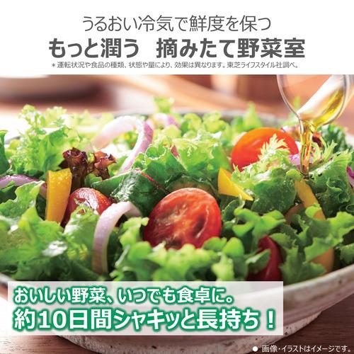 無料長期保証】東芝 冷蔵庫 551L 観音開き 6ドア 幅68.5cm 摘みたて