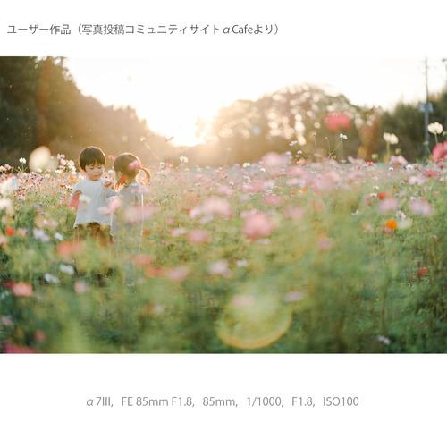 ソニー ILCE-7M3 デジタル一眼カメラ α7III ボディ_20