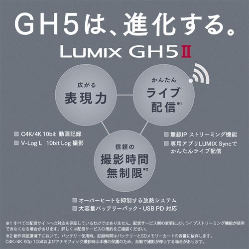 【推奨品】パナソニック DC-GH5M2M デジタル一眼カメラ DCGH5M2M｜kimuraya-select｜02