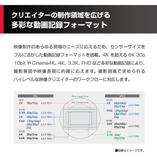 Panasonic DC-S5M2XK LUMIX S5IIX ミラーレス一眼カメラ 標準ズームレンズキット ブラック DCS5M2XKの画像