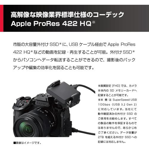 Panasonic DC-S5M2XK LUMIX S5IIX ミラーレス一眼カメラ 標準ズームレンズキット ブラック DCS5M2XKの画像