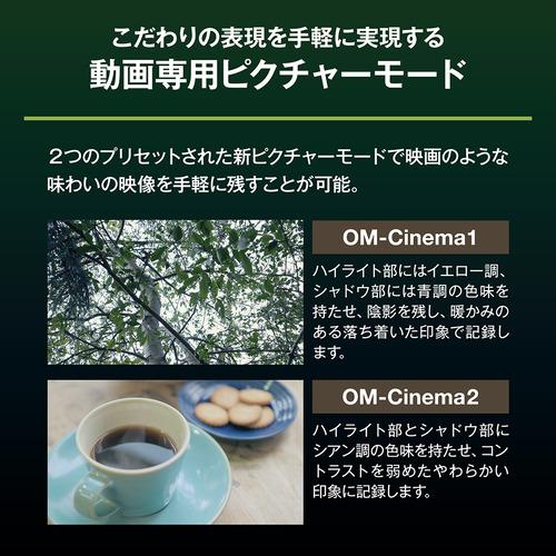 OMデジタルソリューションズ OM-5 Mark II 14-150mm II レンズキット IP53防水防塵対応 ブラック_16