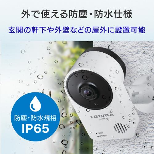 アイ・オー・データ TS-NA230WP PC用CCDカメラ TSNA230WP : キムラヤ