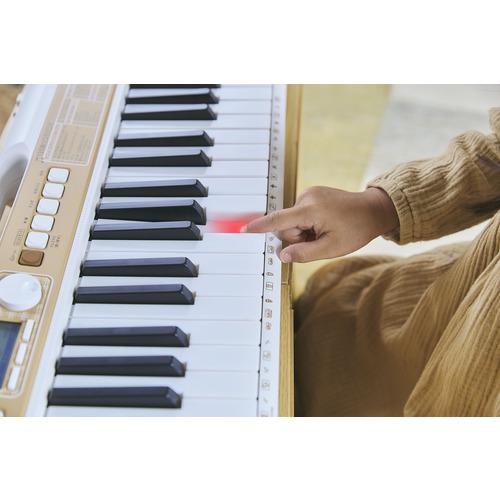 カシオ計算機 LK-340 光ナビゲーションキーボード 120曲内蔵 61鍵 ホワイト