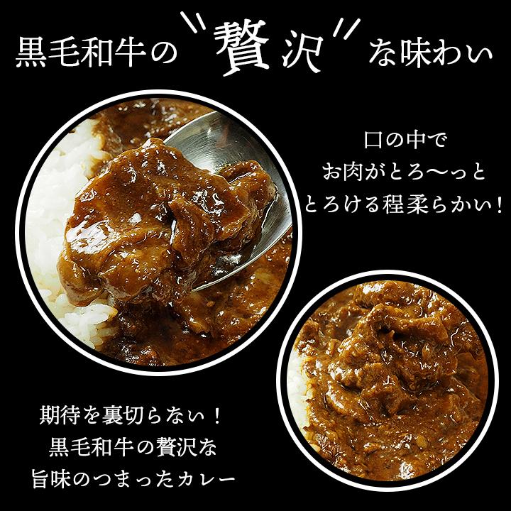 カレー ビーフカレー ザ・ビーフ黒毛和牛すじカレー(240g・1食入) 常温