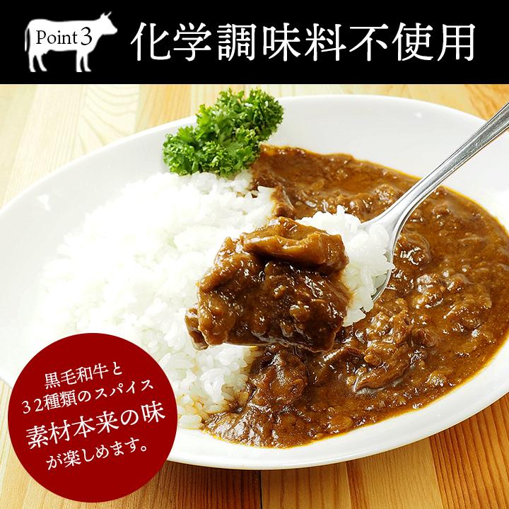 カレー ビーフカレー ザ・ビーフ黒毛和牛すじカレー(240g・1食入) 常温
