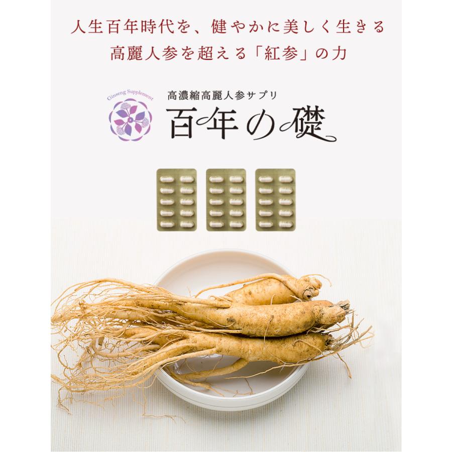 百年の礎30カプセル（250mg×30）高濃度 高麗人参エキス粉末