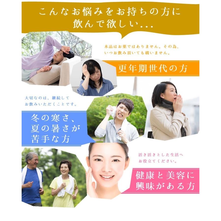 J's Kami高麗10カプセル（265mg×10）高濃度 高麗人参エキス粉末
