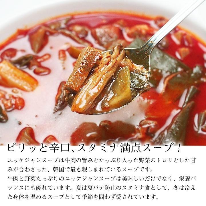 辛口ビーフユッケジャンスープ1kg×3袋セット（1袋 約2〜3人前）常温